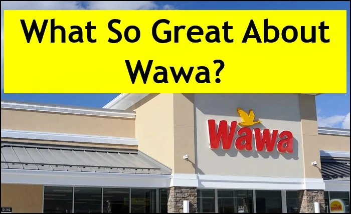 What So Great About Wawa?